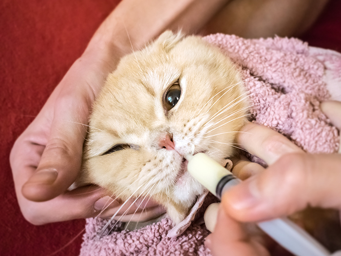 お待たせしないやさしさを。