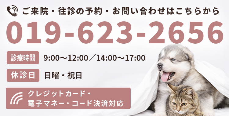 ご来院・往診の予約・お問い合わせはこちらから クレジットカード・電子マネー・コード決済対応【電話番号】019-623-2656【営業時間】9:00～12:00／14:00～17:00【休業日】日曜・祝日